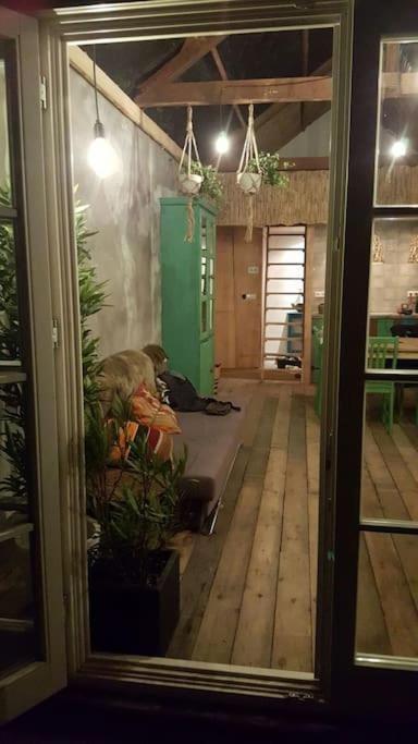 Balistyle Guesthouse Incl Hottub Near Amsterdam And Haarlem Velsen-Zuid Kültér fotó