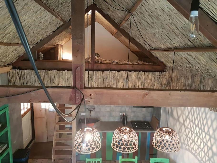 Balistyle Guesthouse Incl Hottub Near Amsterdam And Haarlem Velsen-Zuid Kültér fotó