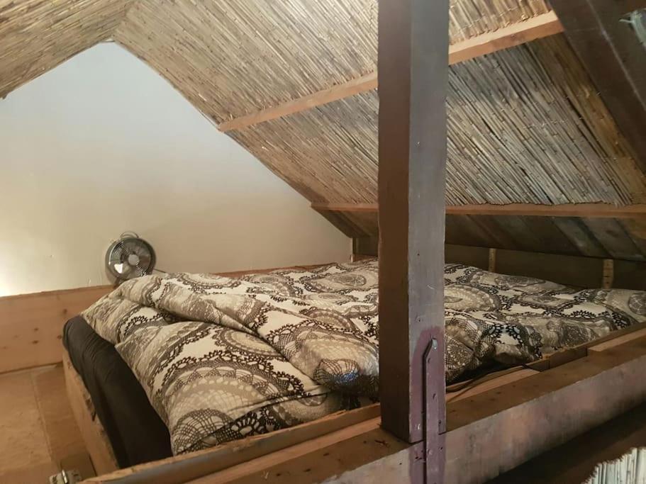 Balistyle Guesthouse Incl Hottub Near Amsterdam And Haarlem Velsen-Zuid Kültér fotó